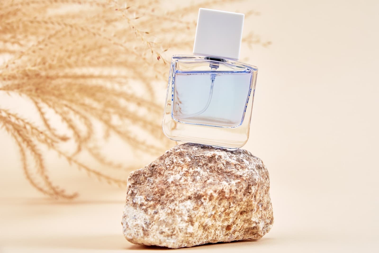 Szklany flakon perfum na kamiennym podeście, na beżowym tle z suszoną gałązką